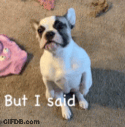 Pug In Pink Unicorn Costume GIF