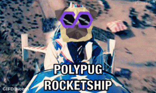 Pug In Sunglasses Riding Rocketship GIF