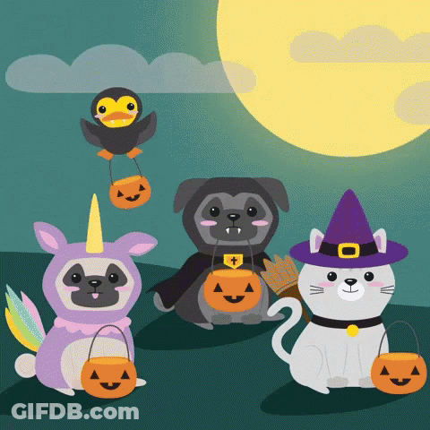 Pug In Unicorn Costume And Cat In Witch Costume Trick Or Treating GIF