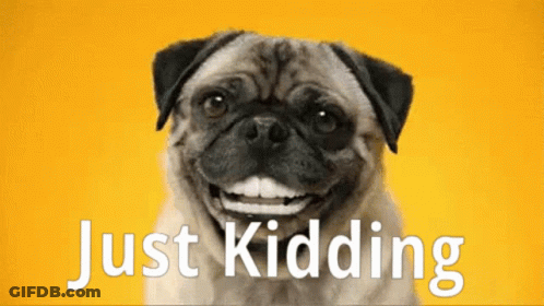 Pug Smiling Saying Just Kidding GIF