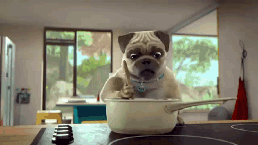 Pug Tasting His Cooking GIF