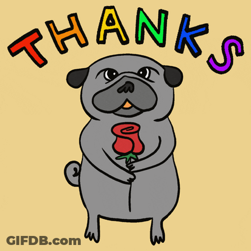 Pug Thanks Rose GIF