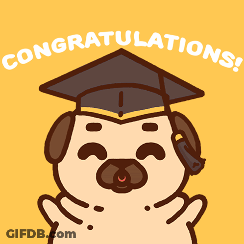 Pug Wearing Graduation Cap Congratulations GIF