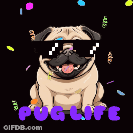 Pug Wearing Sunglasses Surrounded By Confetti Puglife GIF