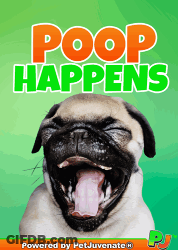 Pug With Mouth Open Poop Happens GIF