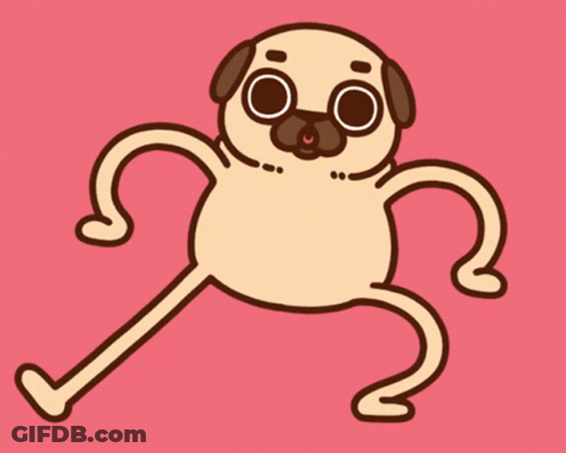 Puglie Dancing Pug GIF