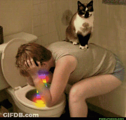 Puking Rainbow In The Toilet GIF