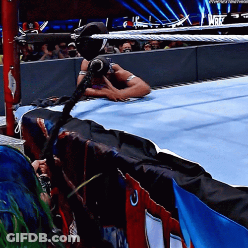 Pull Hair Wrestling Fight GIF