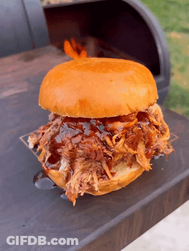 Pulled Pork Sandwich On Wooden Table GIF