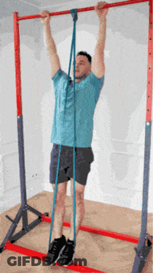 Pulling Up Body Weight GIF