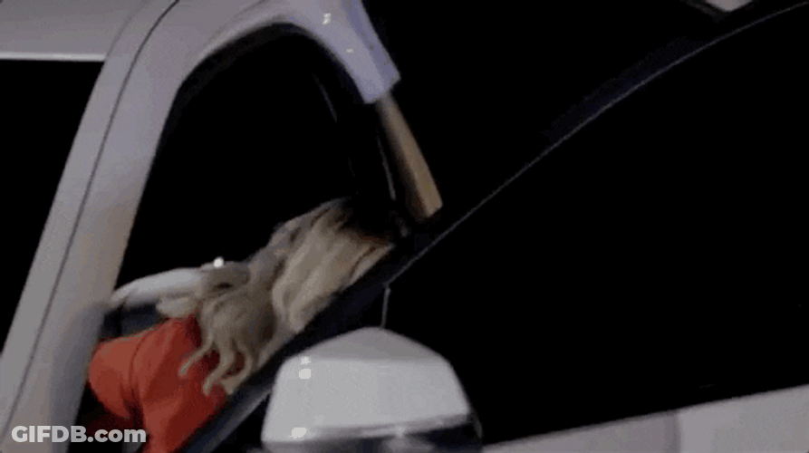 Pulling Up Pull Out GIF