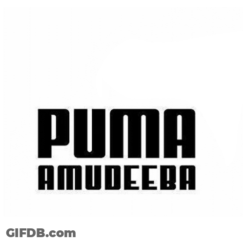 Puma Pumaamudeeba GIF