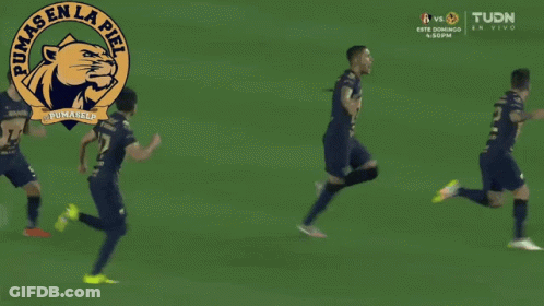 Pumas En La Piel Soccer Team Playing GIF
