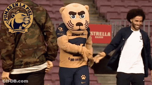 Pumas Logo On Jacket Back GIF