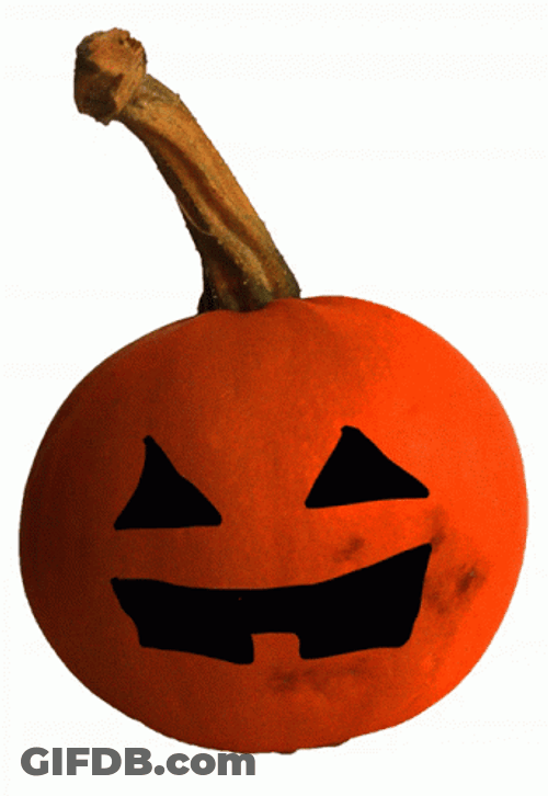 Pumpkin Dance Got Me Dizzy GIF