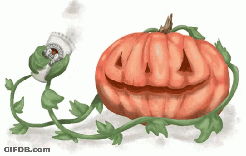 Pumpkin Holding Hot Cup Of Psl GIF