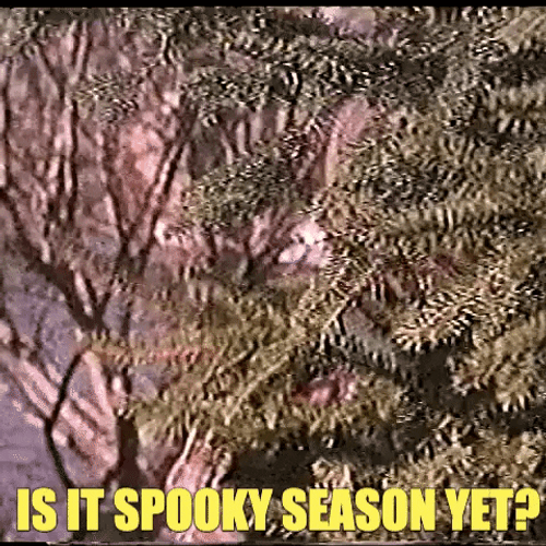 Pumpkin Man Is It Spooky Season Yet? GIF