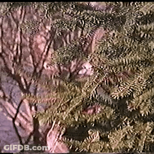 Pumpkin Mascot Spy GIF