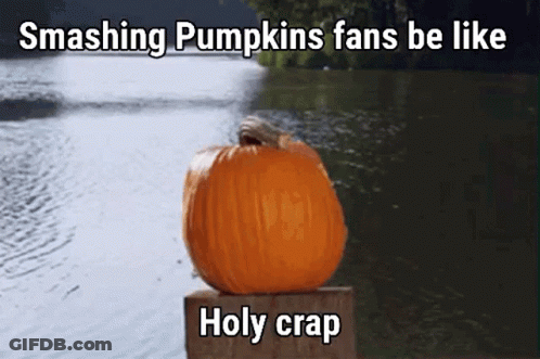Pumpkin On Wooden Block Next To Water GIF