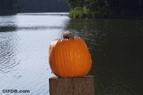 Pumpkin On Wooden Post By Lake GIF