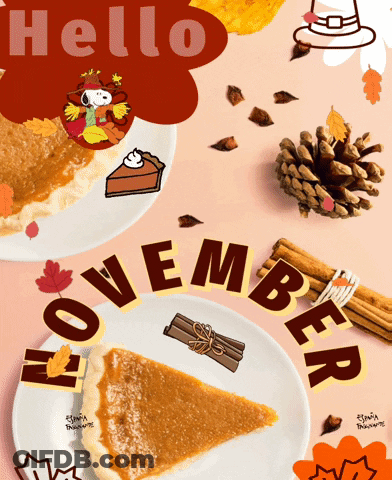 Pumpkin Pie Slice On Plate Saying November GIF