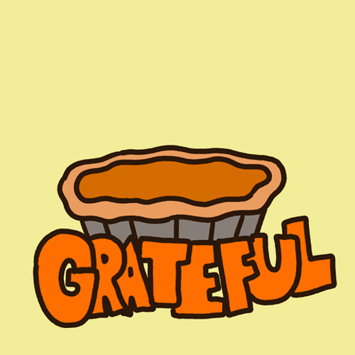 Pumpkin Pie Thankful For You GIF
