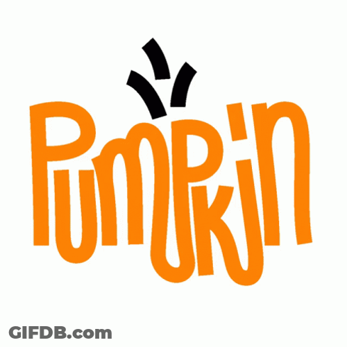 Pumpkin Ready To Get Spice Up GIF