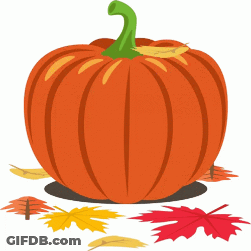 Pumpkin Season For Pumpkin Spice GIF