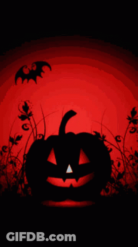 Pumpkin Silhouette With Bats And Flowers GIF