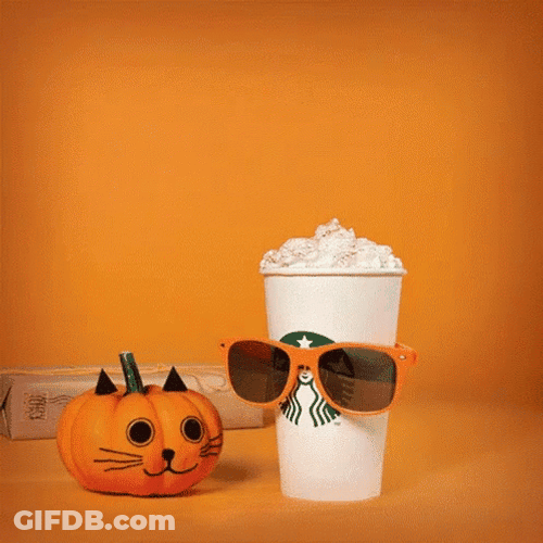 Pumpkin Spice Latte Made Me Wanna Study GIF