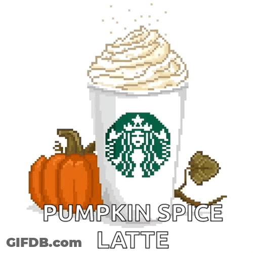 Pumpkin Spice Latte On Sunny Day GIF