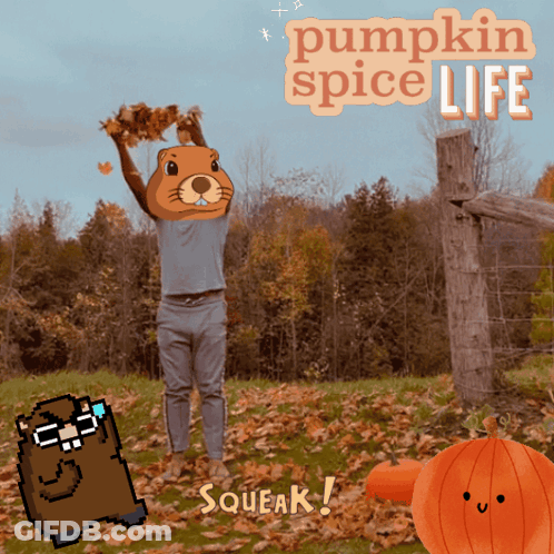 Pumpkin Spice Life Poster With Beaver Holding Leaves GIF