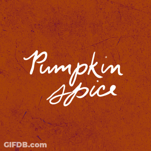 Pumpkin Spice On Orange Background GIF