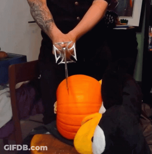 Pumpkin With Bird Saying Autumn Thyme GIF