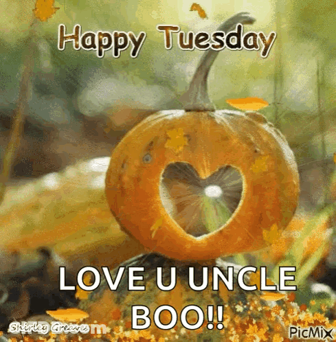 Pumpkin With Heart Cutout Saying Happy Tuesday Love U Uncle Boo GIF