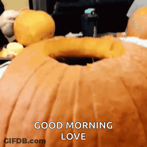 Pumpkin With Hole Saying Good Morning Love GIF