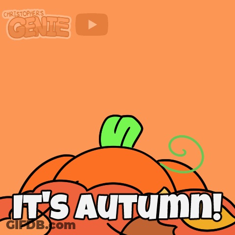 Pumpkin With Words It's Autumn GIF