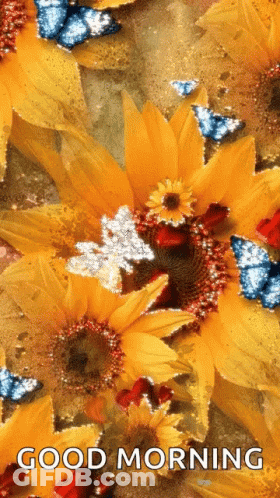Pumpkins And Corn On The Cob With Bible Verse GIF