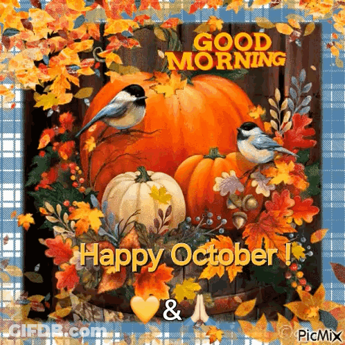Pumpkins And Leaves Good Morning Happy October GIF