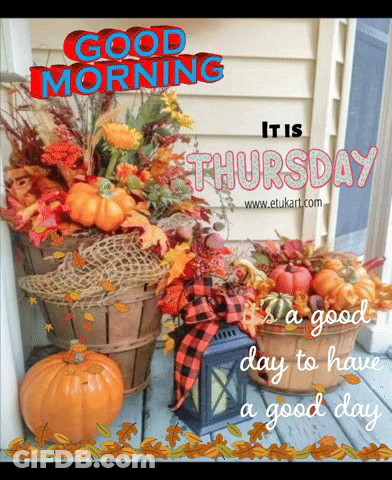 Pumpkins And Leaves Good Morning It Is Thursday GIF