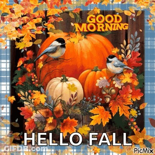 Pumpkins And Leaves Saying Good Morning Hello Fall GIF