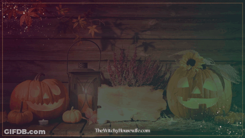 Pumpkins Samhain's Blessings GIF