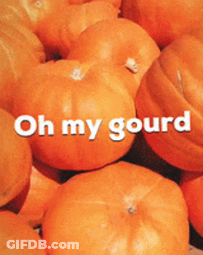 Pumpkins Saying Oh My Gourd GIF
