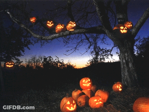 Pumpkins With Carved Faces Under Tree GIF