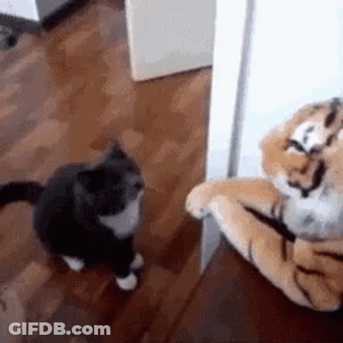 Punch In The Face Cat Stuffed Tiger Toy GIF