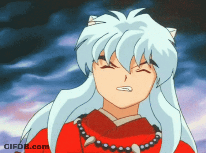 Punch In The Face Inuyasha Anime GIF