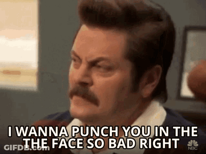 Punch In The Face Ron Swanson Parks And Recreation GIF