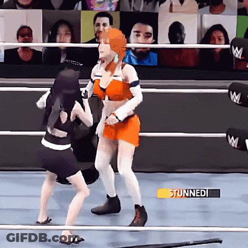 Punch In The Face WWE Video Game GIF
