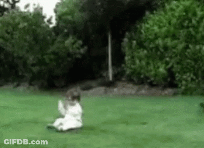 Punt GIF