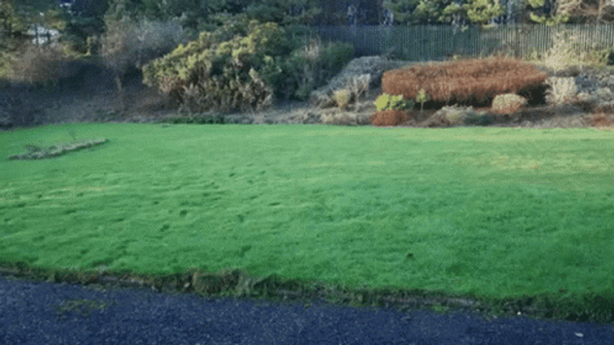 Punt Kicking Stuff Toy GIF